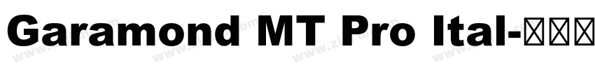 Garamond MT Pro Ital字体转换